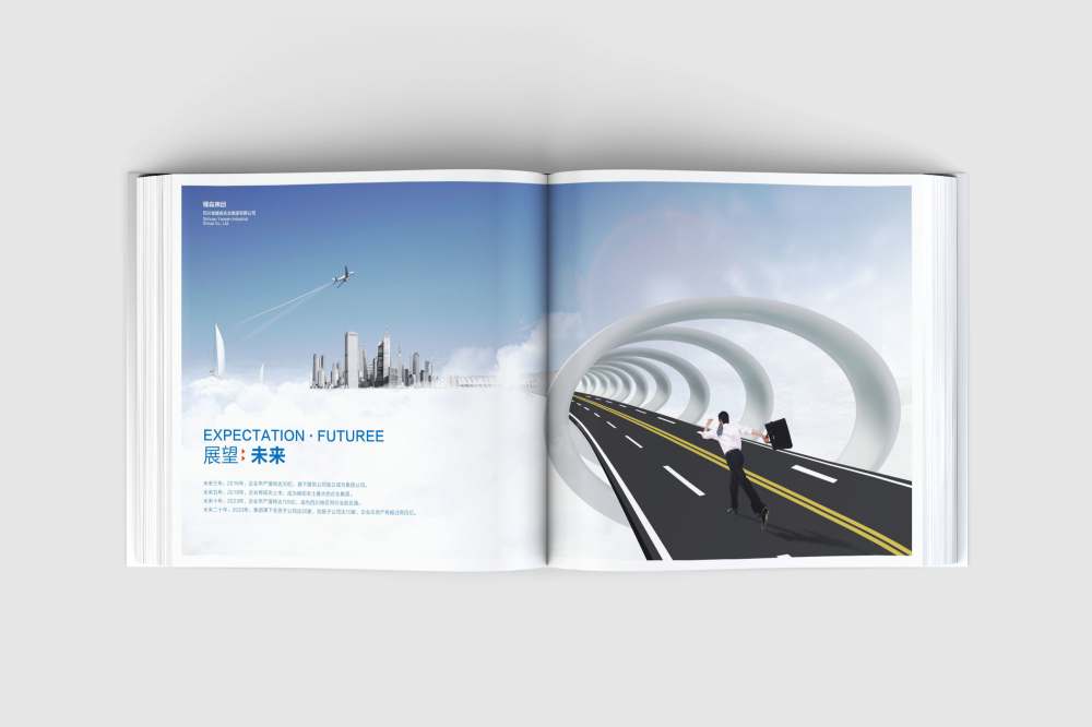 定南县画册设计